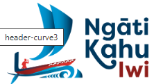 Te Runanga-a-Iwi o Ngati Kahu